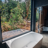 Discovery-Parks-Cradle-Mountain-Premium-Mountain-Cabin-Bath-Views