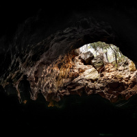 Discoery Resorts Wind Tunnel Explorer Tour Greenery