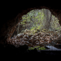 Discovery Resorts Undara Archway Explorer Lava Tube Tour Greenery