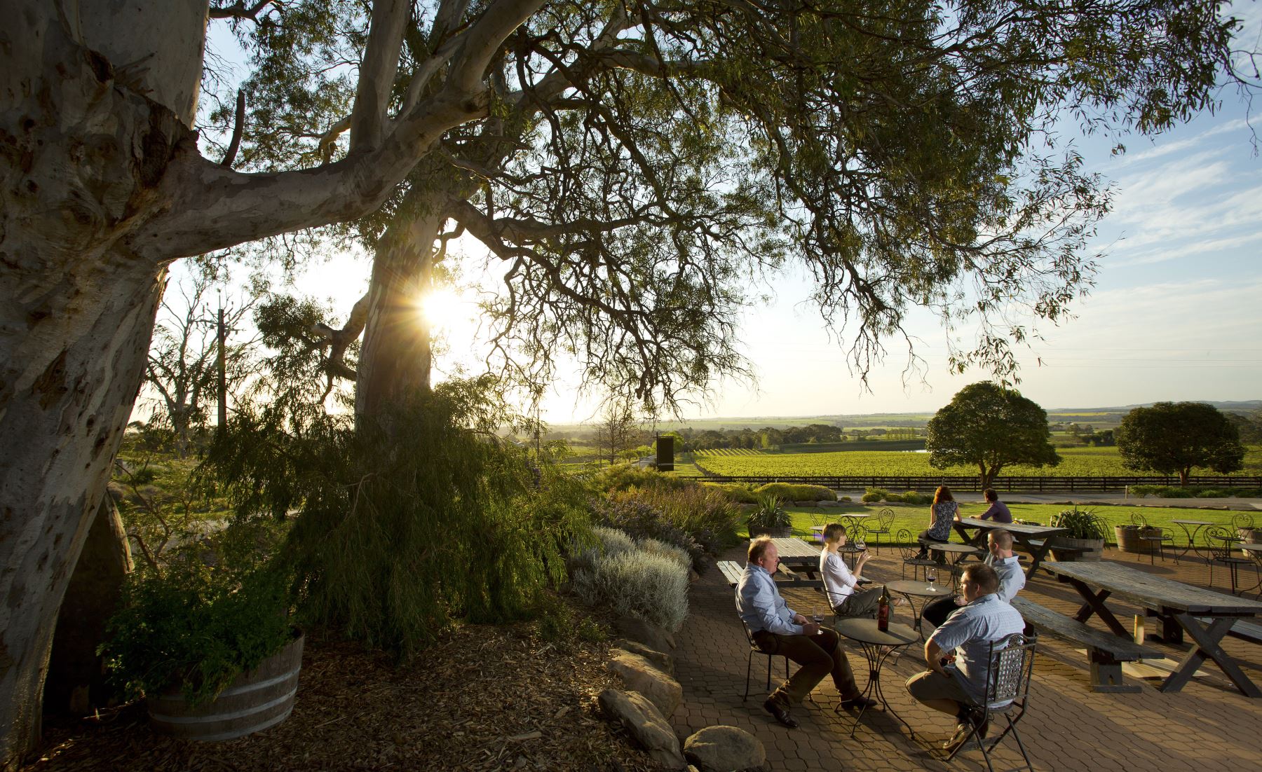 126845 Grant Burge Wines
