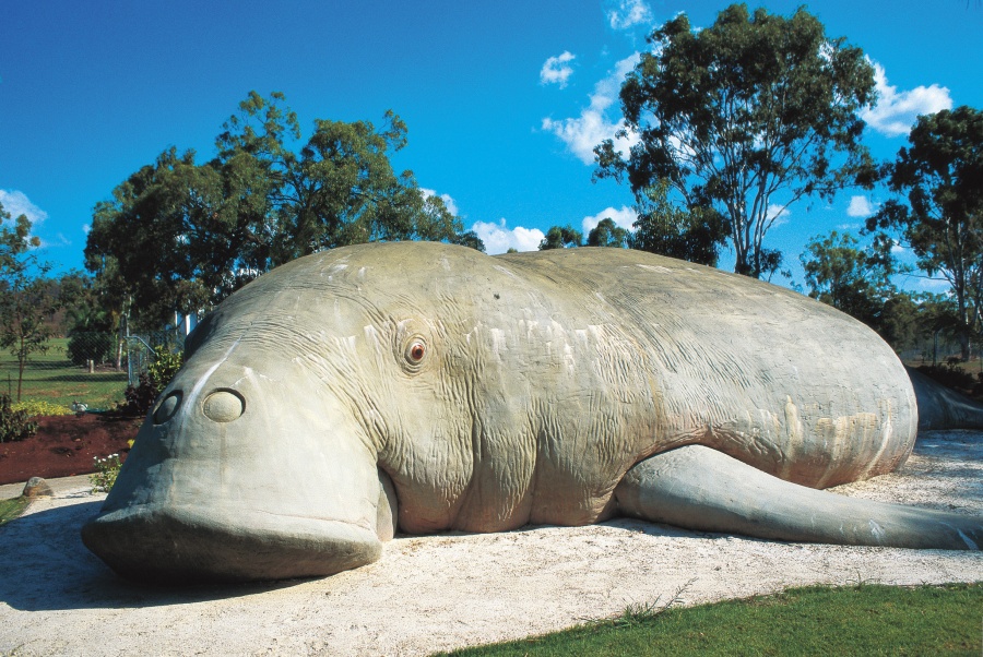 Capricorn Coast Guide