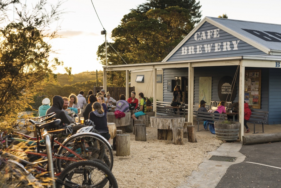 Mountain Biking Blog