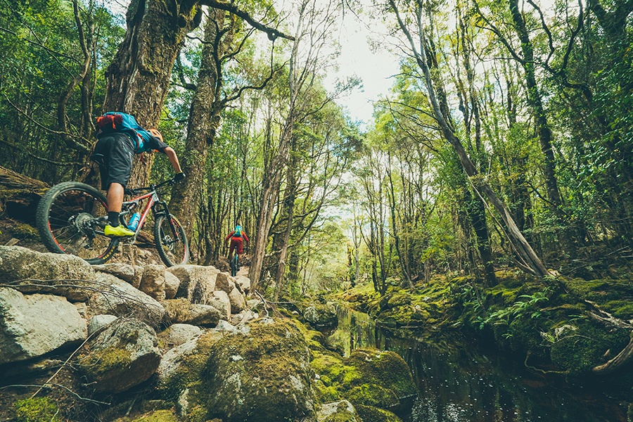 Mountain Biking Blog