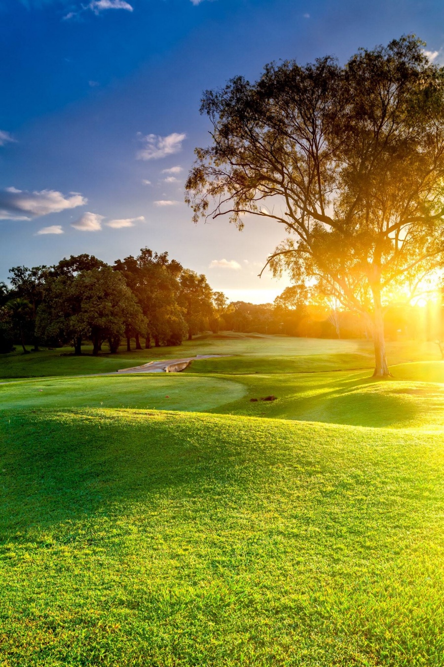 Golf Courses Blog