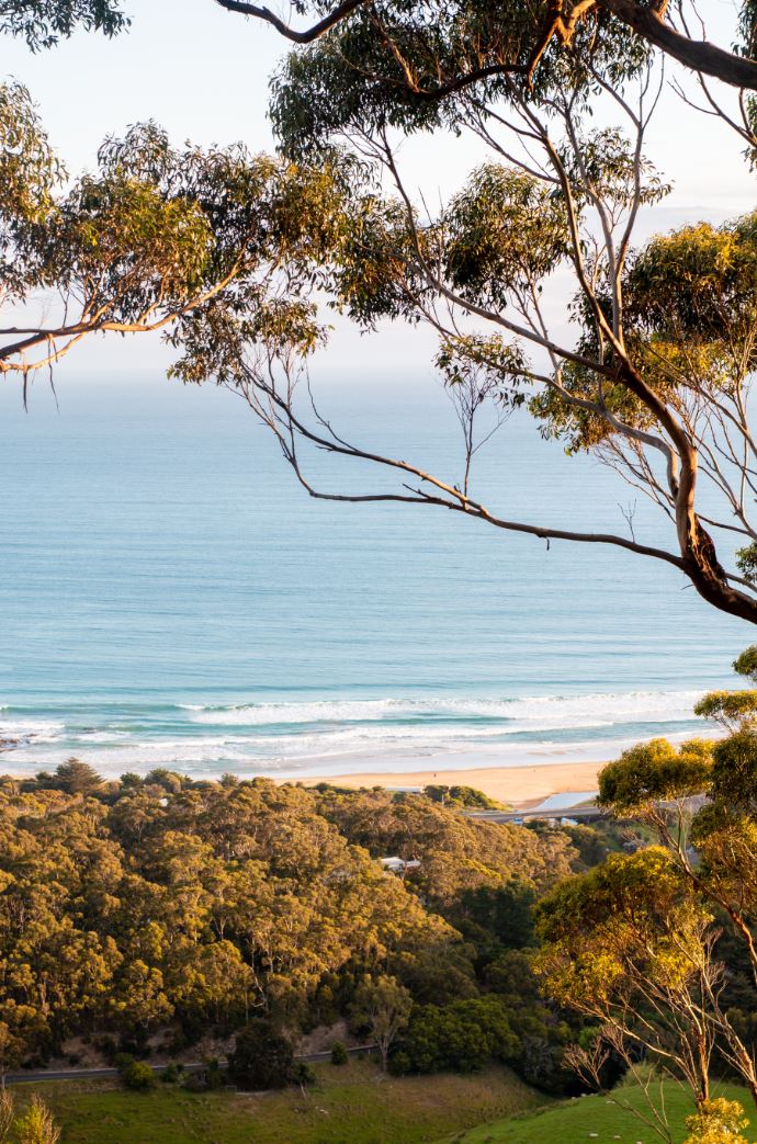 Dine with a View  Chris Beacon Point Restaurant G'Day Summer November18 ElsMorgan 8189