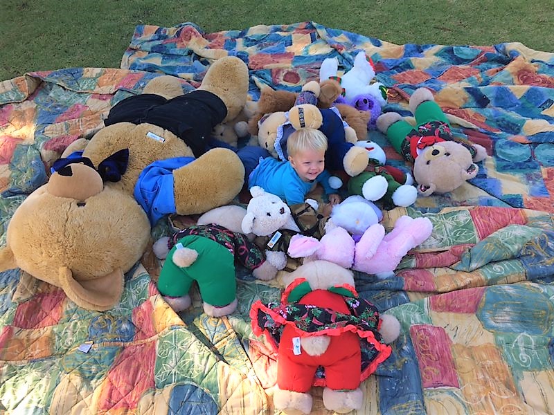 Teddy Bear Picnic