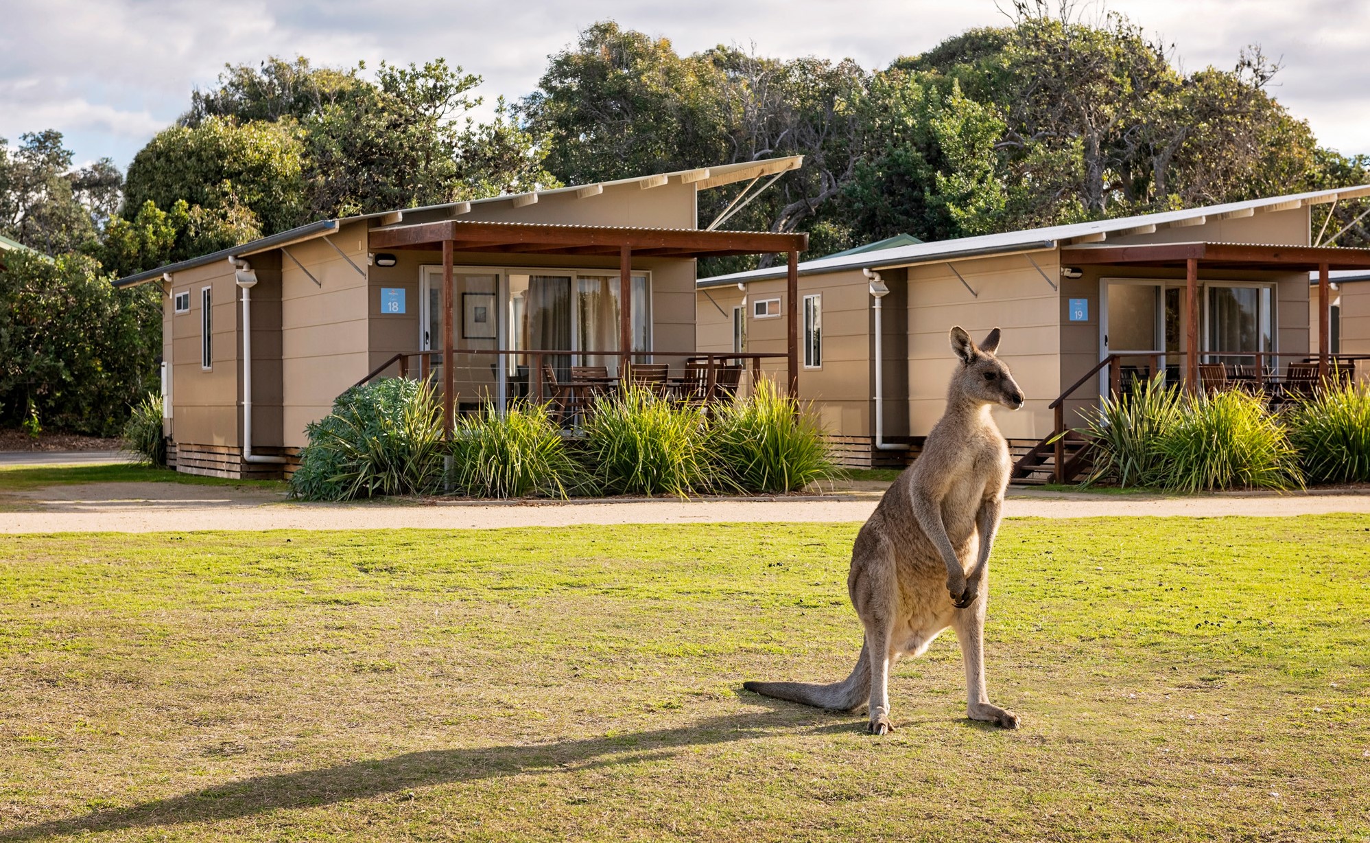 Cabins at pambula beach