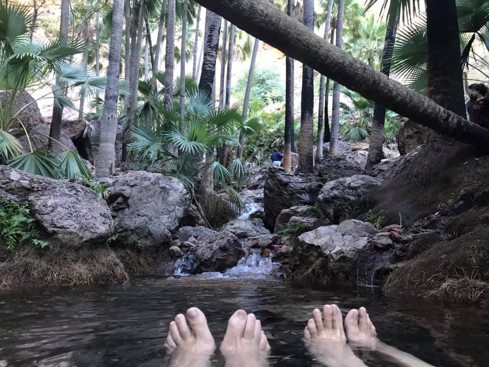 Zebedee Thermal Springs