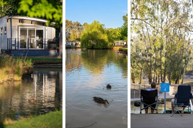Discovery Parks Maidens Inn Moama - Park Accommodation Options