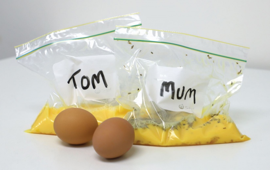 16888 eggs.large