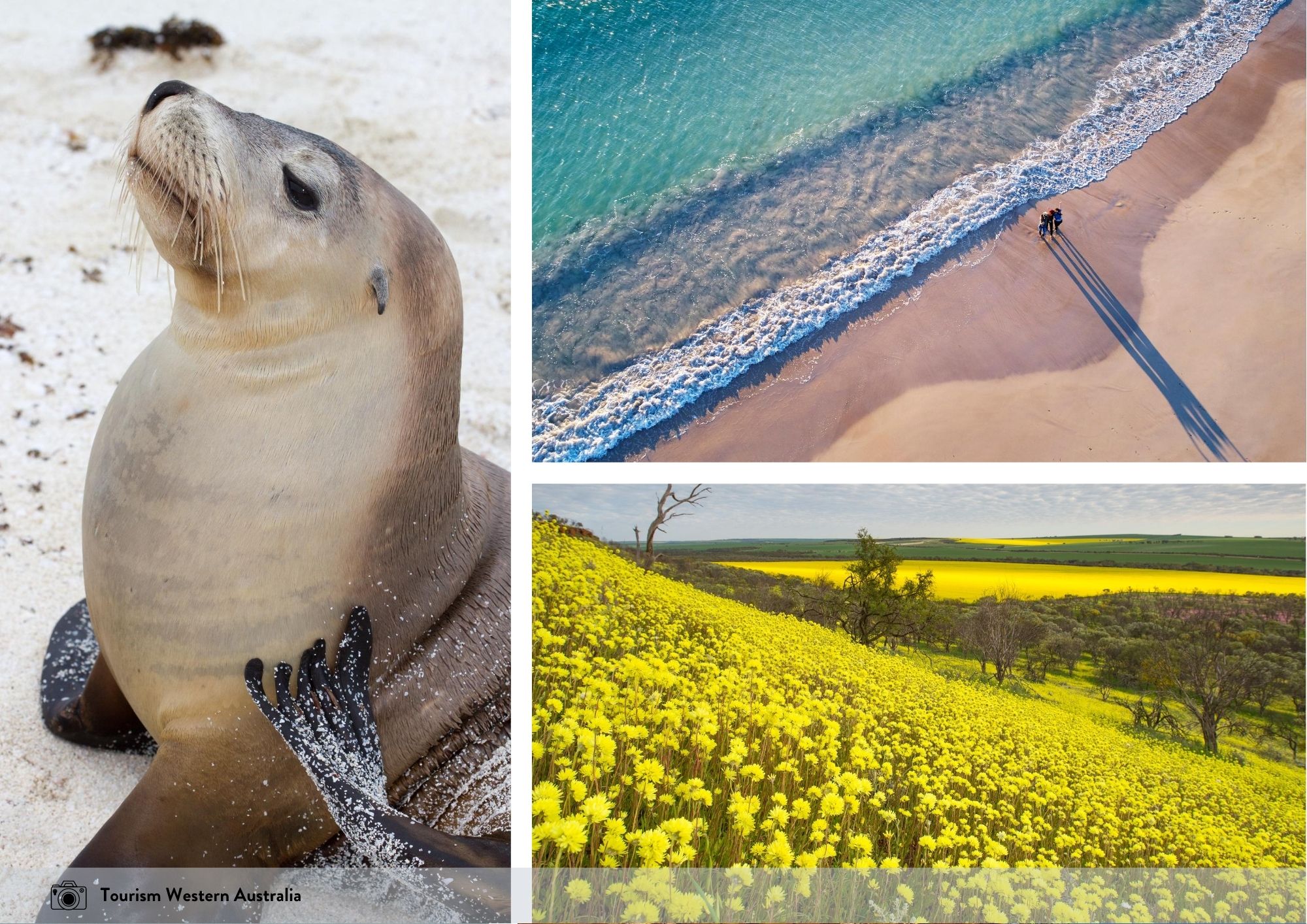 Geraldton