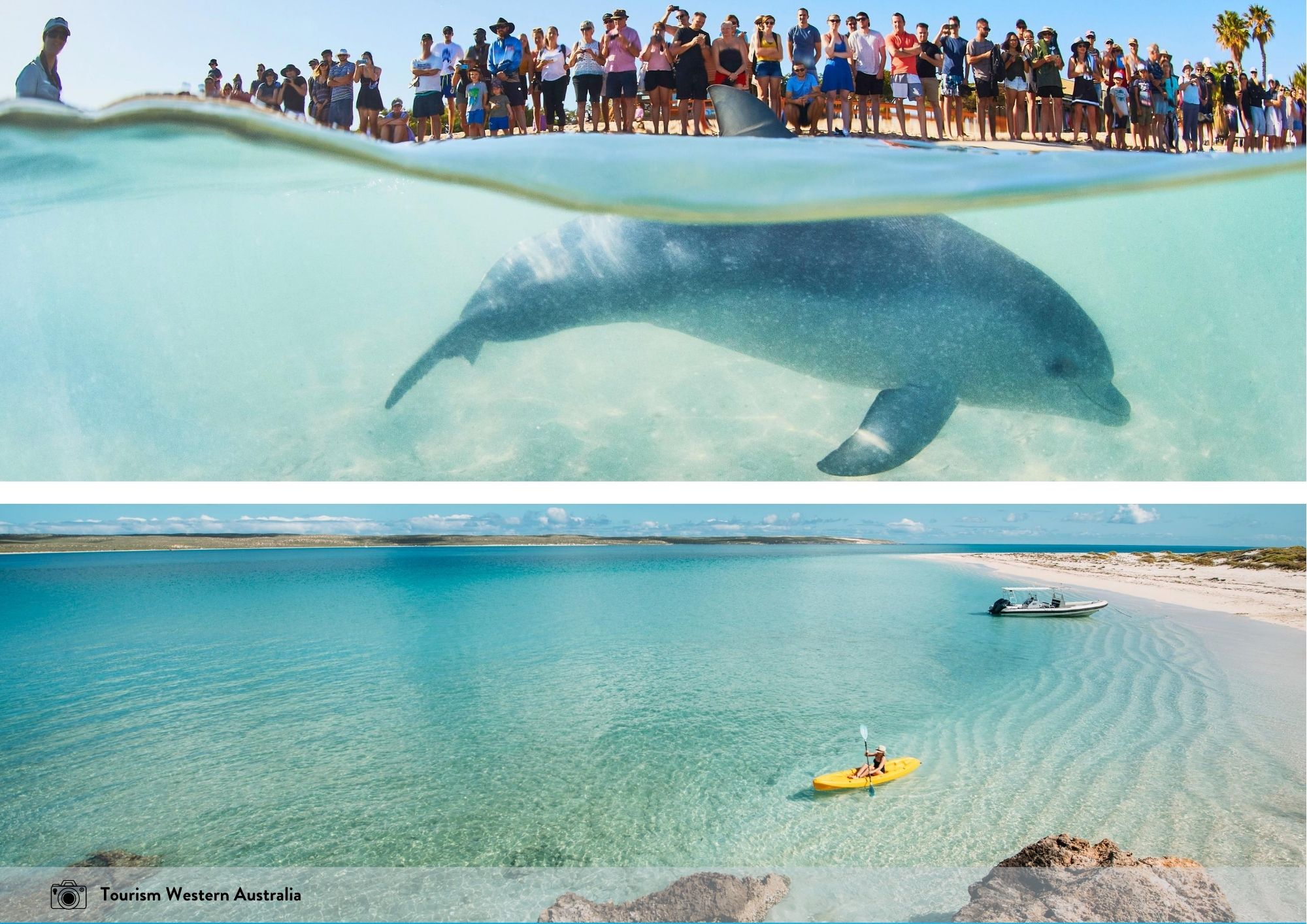 Shark Bay