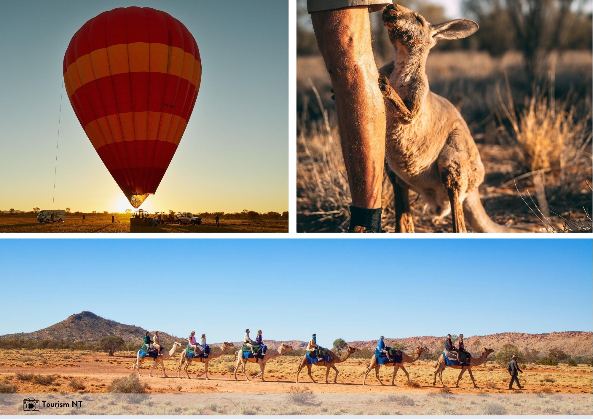 Alice Springs