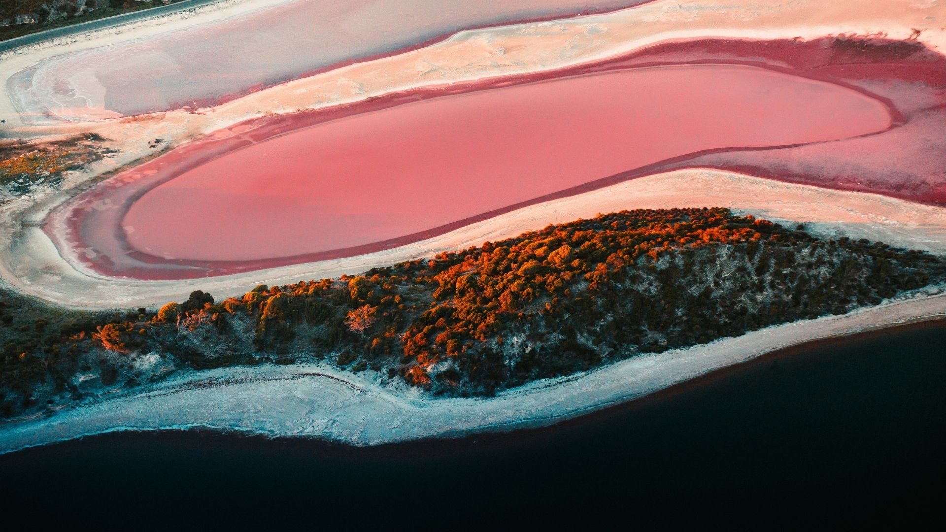 Discoveryparks rottnest island pink lake