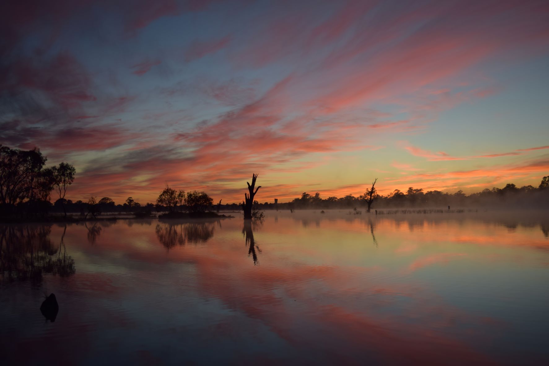 Best victorian staycations nagambie lakes wyld family travel2