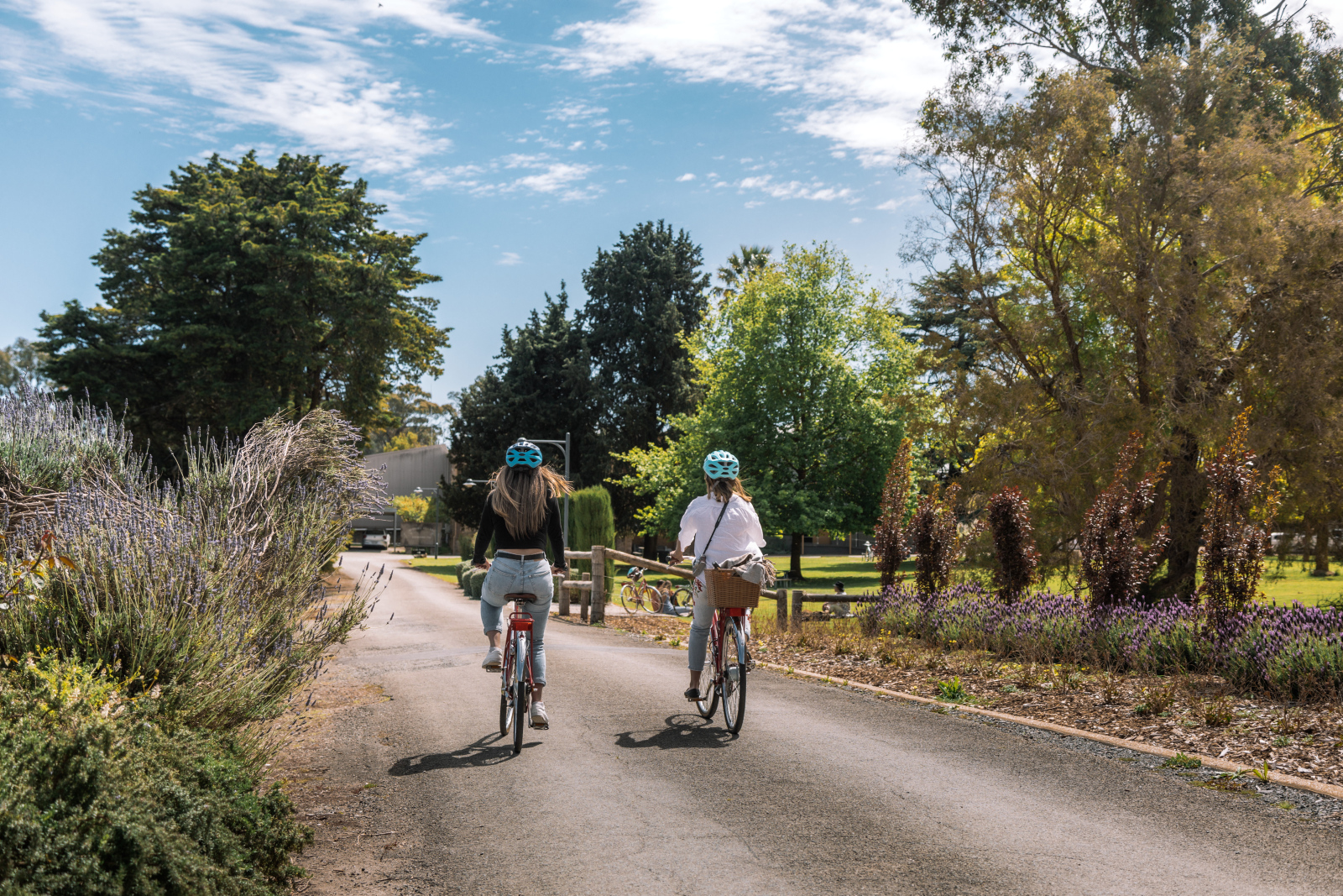 South australia best food and wine experiences clare valley reisling trail satc