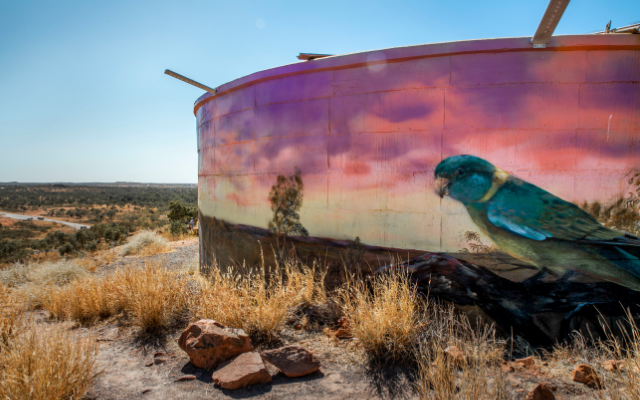 Queensland road trip overlanders way