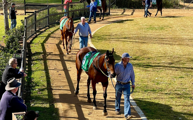 Top things to do in dubbo turf club