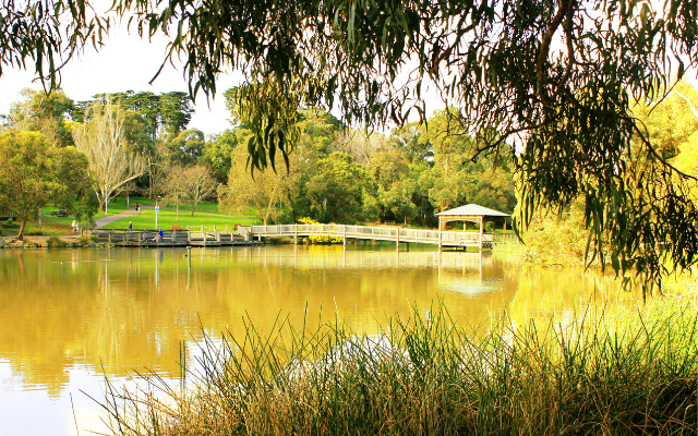 Victorias best picnic spots ringwood