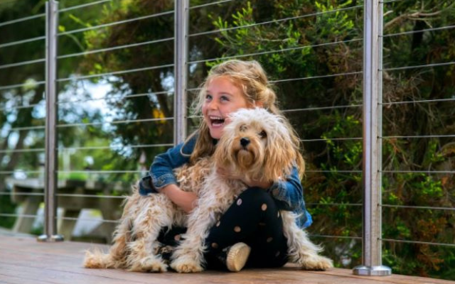 Utlimate guide to holiday parks for families pet friendly cabins