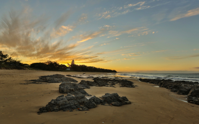 Things to do in queensland with your dog tannum sands
