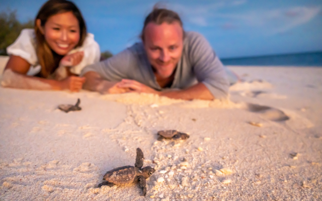 Things to do in queensland with your dog cairns