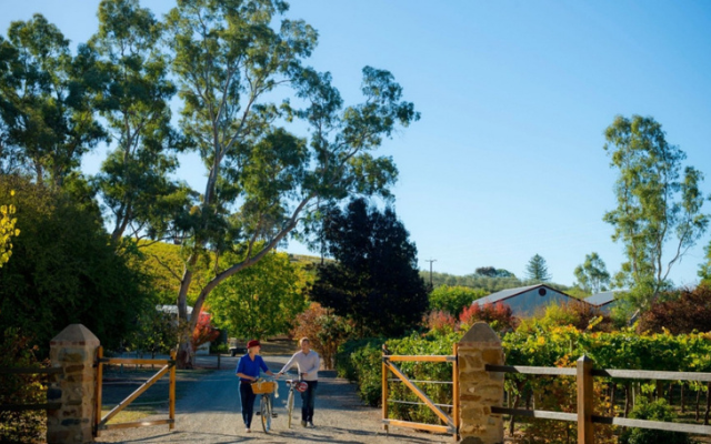 Make it a date in the Clare Valley. Credit SATC