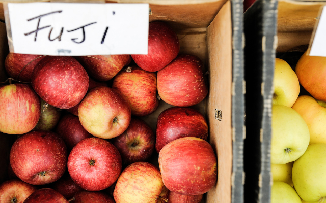 Tasmania travel itinerary road trip harvest market launceston