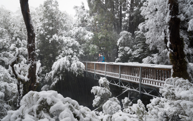 Tasmania travel itinerary road trip enchanted walk
