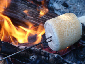 Marshmallow Madness