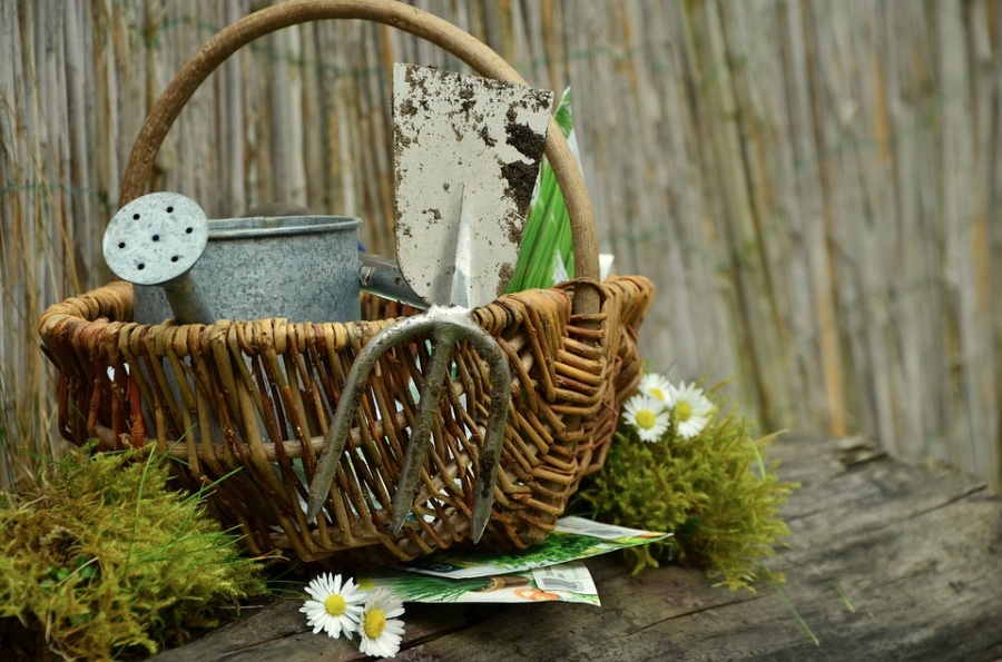 Gardening