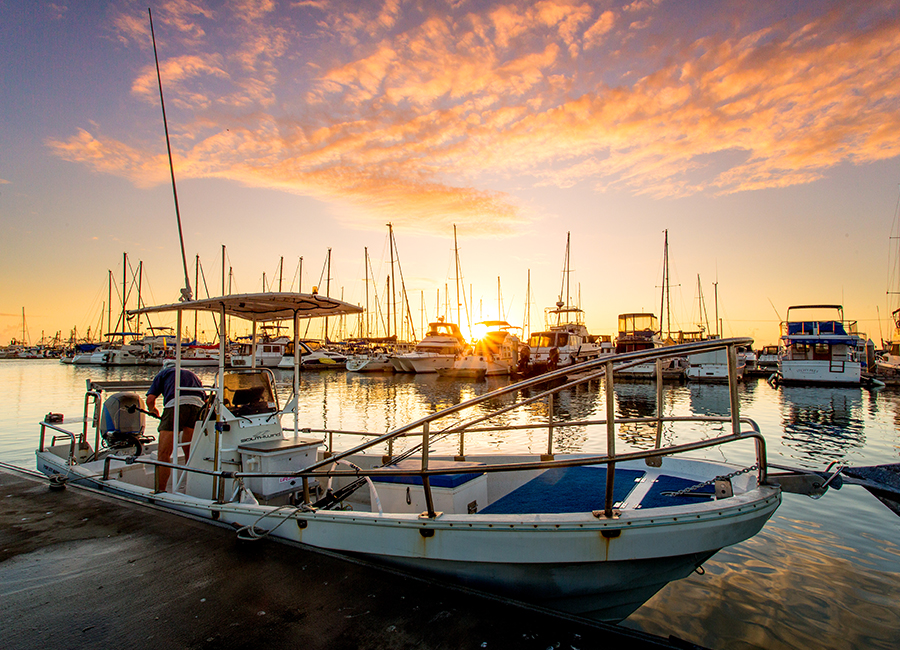 Hervey-Bay.jpg