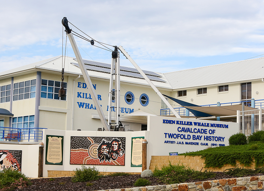 Whale-Watching-Eden-TP.jpg